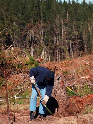 Police search the Jenolan State Forest after the remains of Peter Letcher are found, bound, stabbed and shot in the head.