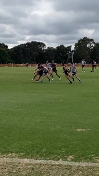 Blues put through their paces at open training