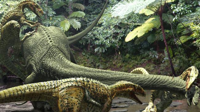 Australian scientists have found new dinosaur remains of a Australovenator wintonensis, was discovered on a private cattle property just outside of central Queensland. Artist Travis Tischler's impression of Diamantinasaurus being attacked by a pack of Australoventor's