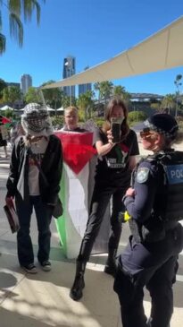 WATCH: Protesters ejected from Gold Coast City Council chambers