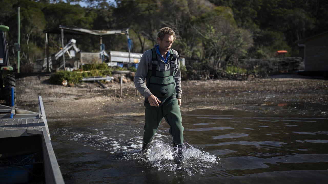 Dom Boyton from Merimbula Gourmet Oysters. Picture: Sean Davey