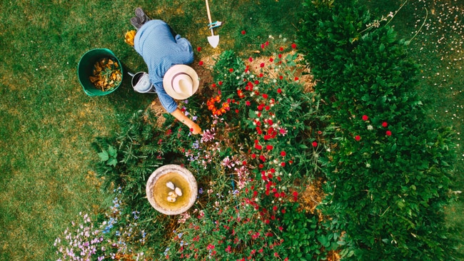 A 2024 metanalysis looking into the impact of gardening on overall wellbeing confirms the benefits may indeed stretch further than a healthy mind. Image: Pexels