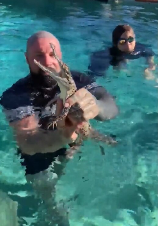 Mr Gawthorne experienced a startling discovery when his children alerted him to a crocodile taking a dip in their backyard pool. Photo: Instagram.