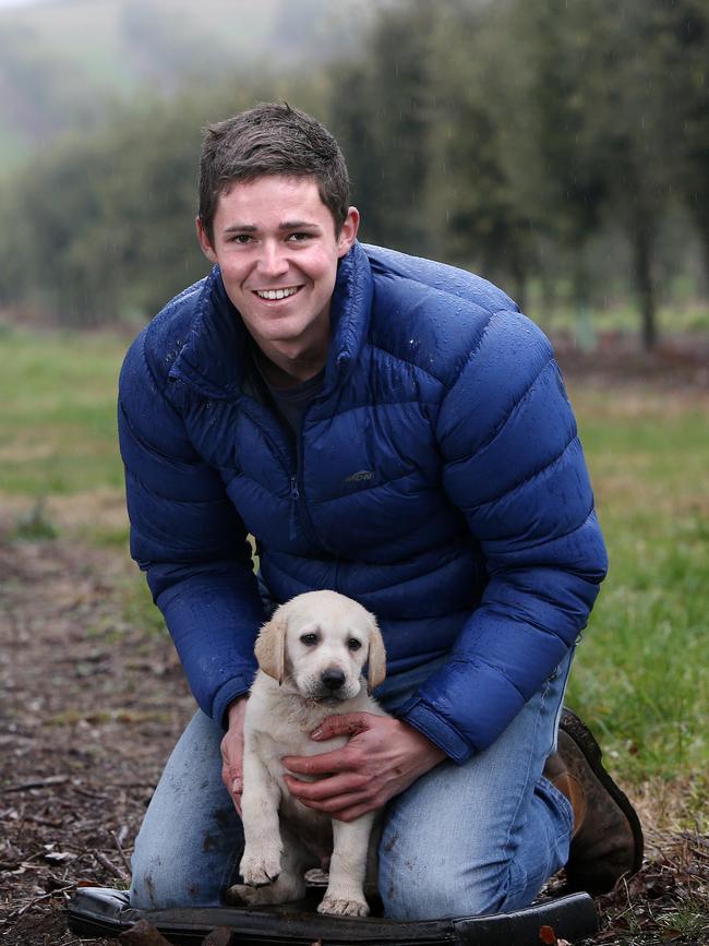 Henry Terry, of Tasmanian Truffles, with trainee truffle puppy Doug at Mole Creek. Picture: CHRIS KIDD