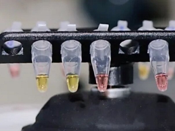 The coronavirus rapid testing device. Picture: Oxford University