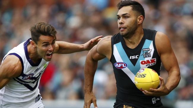 Gary Buckenara isn’t expecting too much for new Hawk Jarman Impey. Picture: Sarah Reed