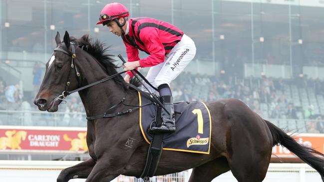 Tropical Squall can win a third Group 1 when she contests the Queen of the Turf Stakes at Randwick on Saturday. Picture: Scott Barbour / Racing Photos