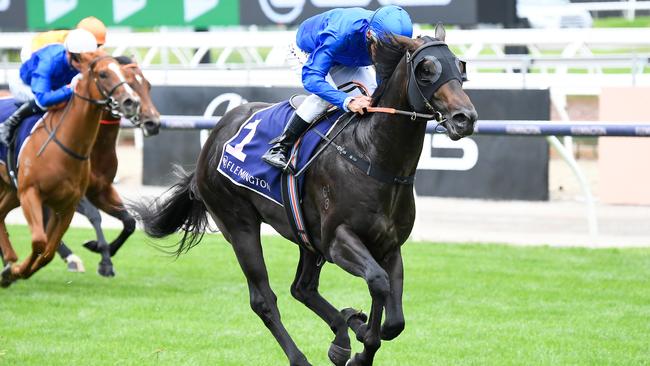 Ingratiating winning the Talindert Stakes at Flemington last year. Picture: Reg Ryan/Racing Photos via Getty Images