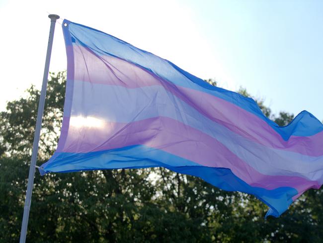 Transgender flag in the LGTB Pride Parade in Valencia ( spain