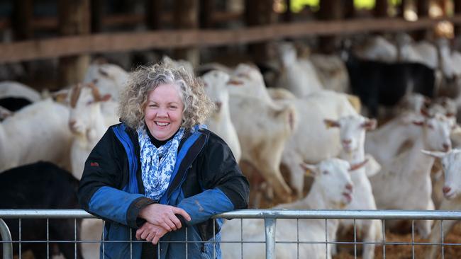 Meredith Dairy co-founder Julie Cameron produces quality specialty cheeses for Christmas tables nationwide. Picture: Andy Rogers