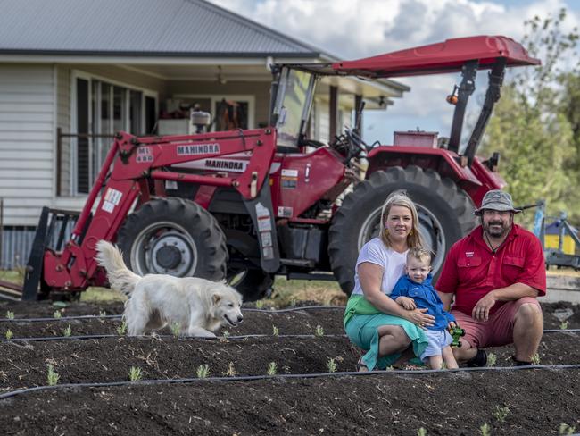 Have you heard the buzz? New boutique farm opens in Westbrook