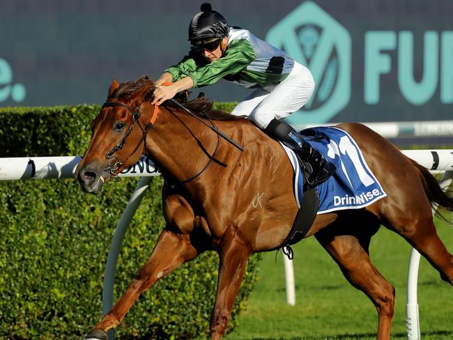 SYDNEY, AUSTRALIA - JUNE 10: Dylan Gibbons riding Passeggiata   wins Race 6 Furphy during  "Bob Charley AO Stakes Day" - Sydney Racing at Royal Randwick Racecourse on June 10, 2023 in Sydney, Australia. (Photo by Jeremy Ng/Getty Images)