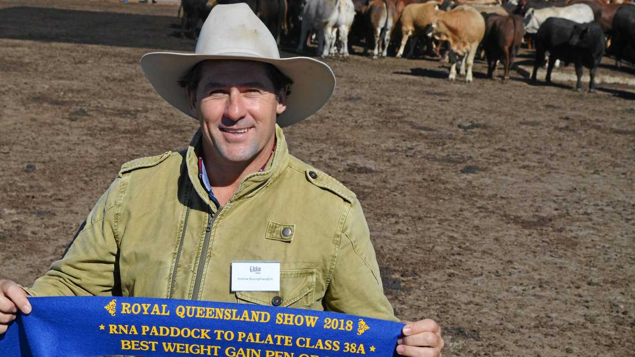 PADDOCK TO PLATE: Wallumbilla's Andrew Bassingthwaighte with one of three ribbons his team picked up. Picture: Michael Doyle