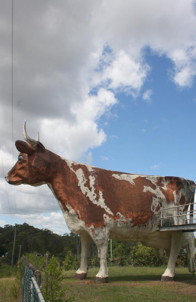 The Big Cow at Kulangoor.