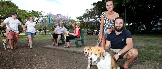 Beagle owners gather at New Farm dog park on Saturday October 28th, 2017. . AAP Image/Steve Pohlner