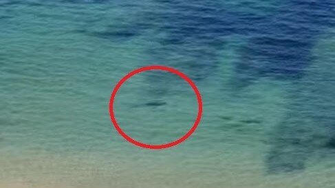 Mystery creature spotted in the ocean at Inverloch. Picture: Stewart Hill