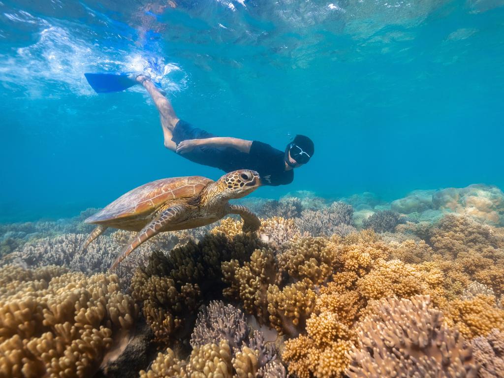 The Great Barrier Reef has emerged as a key election issue, just over a week out from polling day. Picture: Supplied