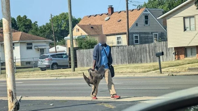 Wildlife authorities said there was no evidence that a man spotted carrying a goose in Ohio was a migrant or had plans to eat the bird. Picture: r/isitmeyourelooking4x