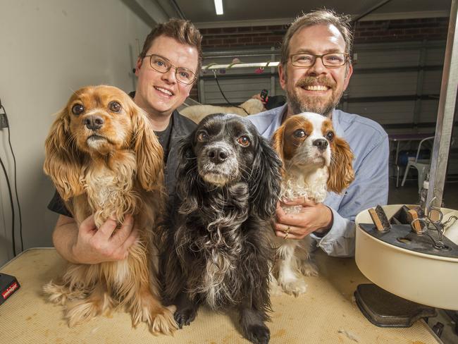 Nick and Tim Marshall at Masters Pet Grooming. Picture: Rob Leeson.