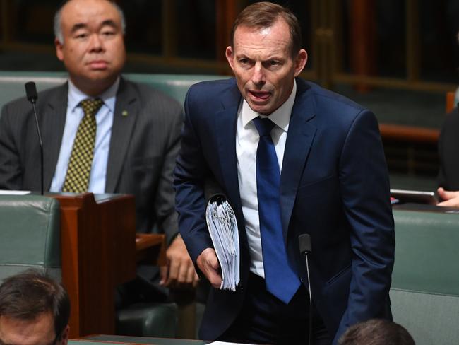 Gay marriage will be a big leap ‘into the dark’ for Australia, Tony Abbott has warned. Picture: AAP