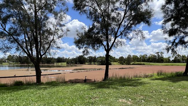 Azolla has blanketed the lake at Driftway Reserve.