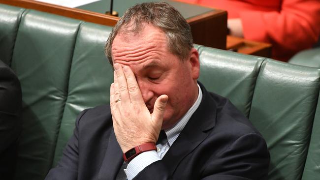 The revelation that Barnaby Joyce was indeed a New Zealand citizen, shook me to my core. Picture: AAP