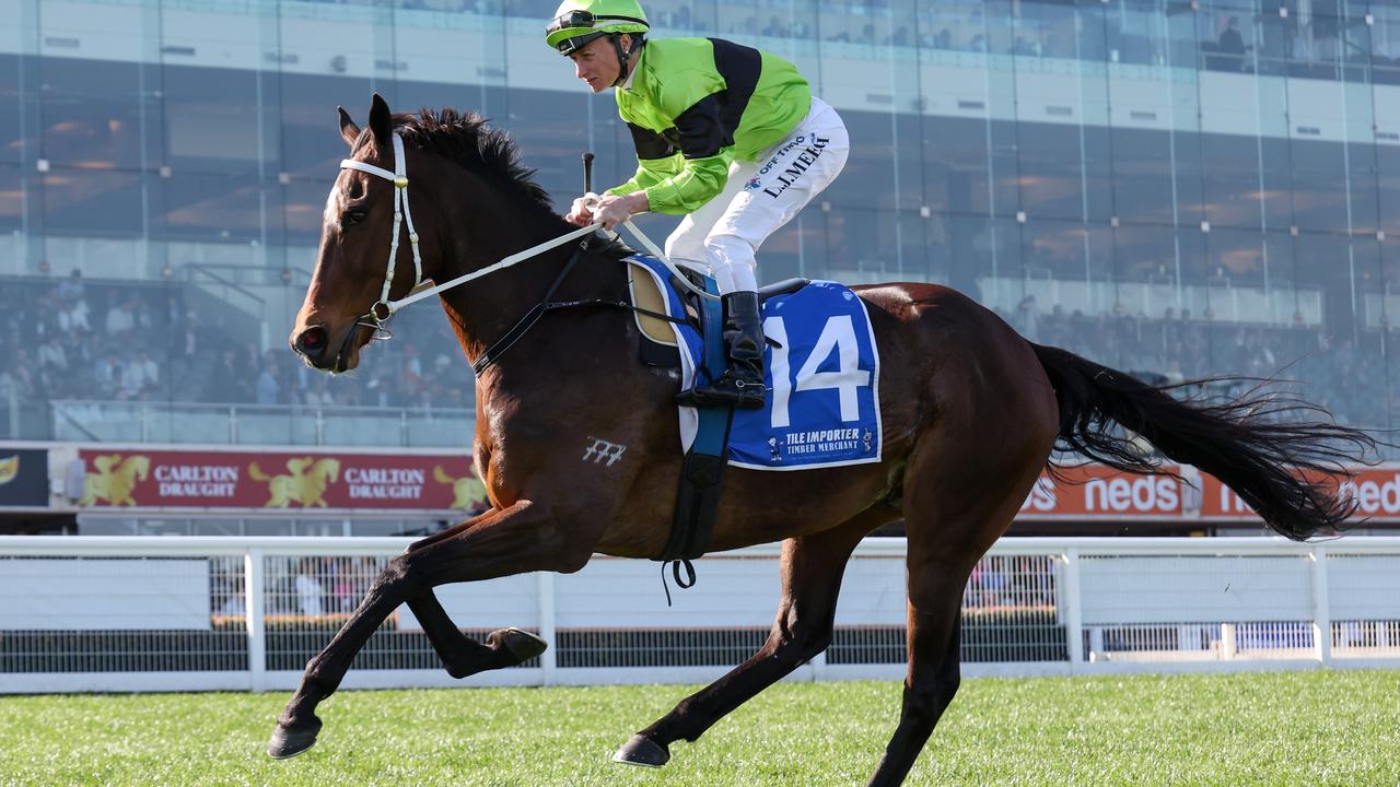 Hasta La War could earn himself a Melbourne Cup start with a win in Wednesday's Group 3 Bendigo Cup. Picture: Racing Photos via Getty Images.