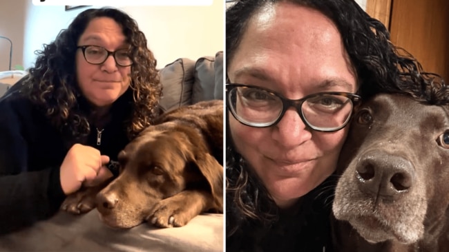Shir warns that you should take care with how you interact with pets around toddlers. Image: Instagram/anotherchancetraining