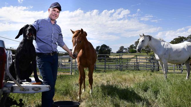 Luke Fitzgerald, with his dog Koen and horses Rumble and Lily, at his Bugle Ranges property. Picture: Bianca De Marchi