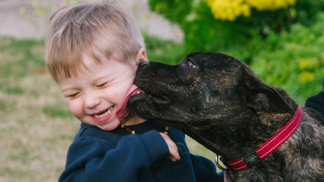 Cooper with his new family. Picture Alex Beckett.