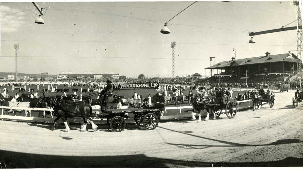 Royal Adelaide Show, date unknown. Horse-drawn carriages trotting around the oval in the Grand Parade.