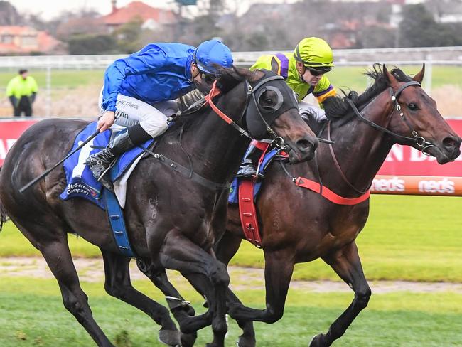 Ingratiating ridden by Blake Shinn wins the The Big Screen Company Bletchingly Stakes  at Caulfield Racecourse on July 22, 2023 in Caulfield, Australia. (Photo by Brett Holburt/Racing Photos via Getty Images)