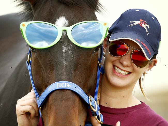 Melbourne Cup runner Max Dynamite with travelling groom Rachel Robins wearin a pair of oversized sunglasses to help combat the Australian flies. , Melbourne. ,15th October 2015. Picture: Colleen Petch.