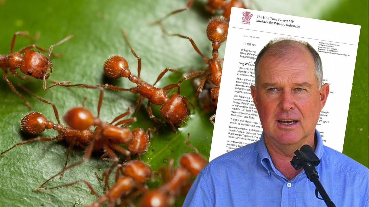 Fire ant fears heat up as govt delays $593m eradication plan