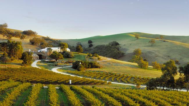 The Barossa Valley continues to be a tourism drawcard. Picture: South Australian Tourism