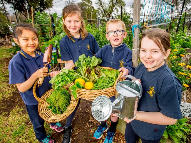 Elwood Primary School kids L to R Pema, Lily, Louis and Lois in their veggie garden. Picture: Tim Carrafa