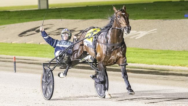 Driver Mark Pitt celebrates Captain Ravishing’s win in the Breeders Crown Finals. Photo: Stuart McCormick