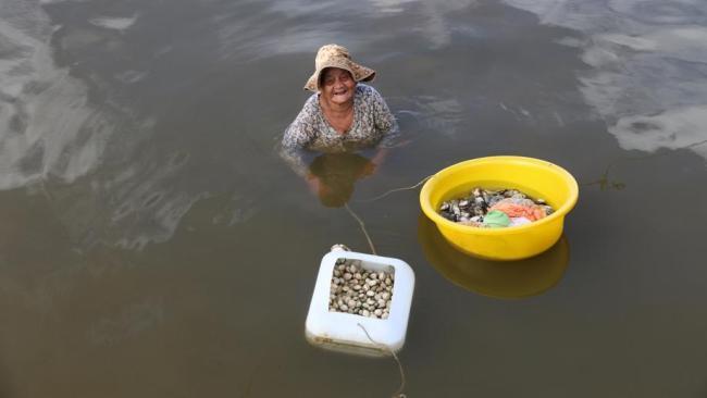 The 85-year-old woman who collects clams and sells them from the river every day in Ham Ninh fishing village.