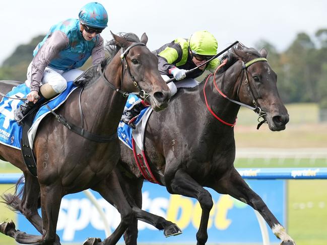 Way Up High ridden by Craig Williams wins the Tile Importer Handicap at Sportsbet Sandown Lakeside Racecourse on April 10, 2024 in Springvale, Australia. (Photo by Scott Barbour/Racing Photos via Getty Images)