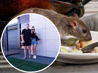 ‘I’m petrified’: Mice run rampant at ‘iconic’ development