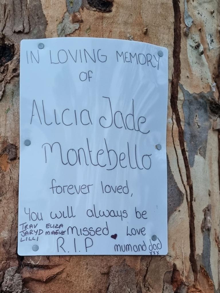 Debbie Montebello, the mother of Alicia Montebello who died in a crash with three teenagers, has pleaded with vandals to stop targeting her daughter’s memorial site in regional Victoria. Picture: Facebook