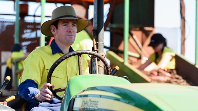 Lex Greensill back on the farm near Bundaberg, Queensland, in 2018. Picture: Paul Beutel.