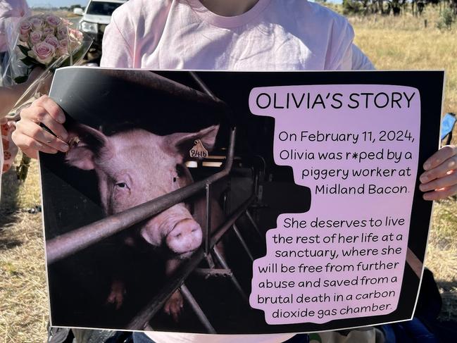 Protesters gathered outside Midland Bacon piggery earlier this year demanding the release of allegedly raped sow Olivia. Picture: Oscar Jaeger