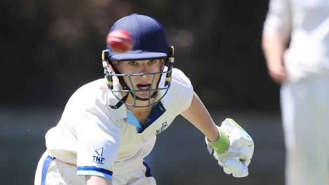 Angus Ford has hit 260 runs from six hits in junior cricket this summer. Picture: Mark Wilson