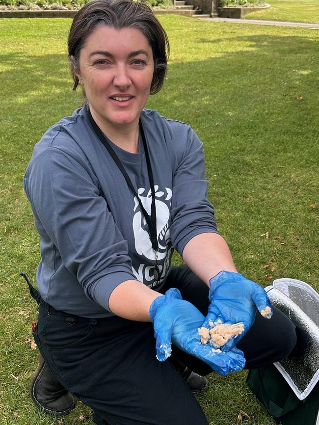 Jess Coghlan from Neighbours of Fish Farming with salmon waste on Parliament Lawns in Hobart on Friday, February 21, 2025.