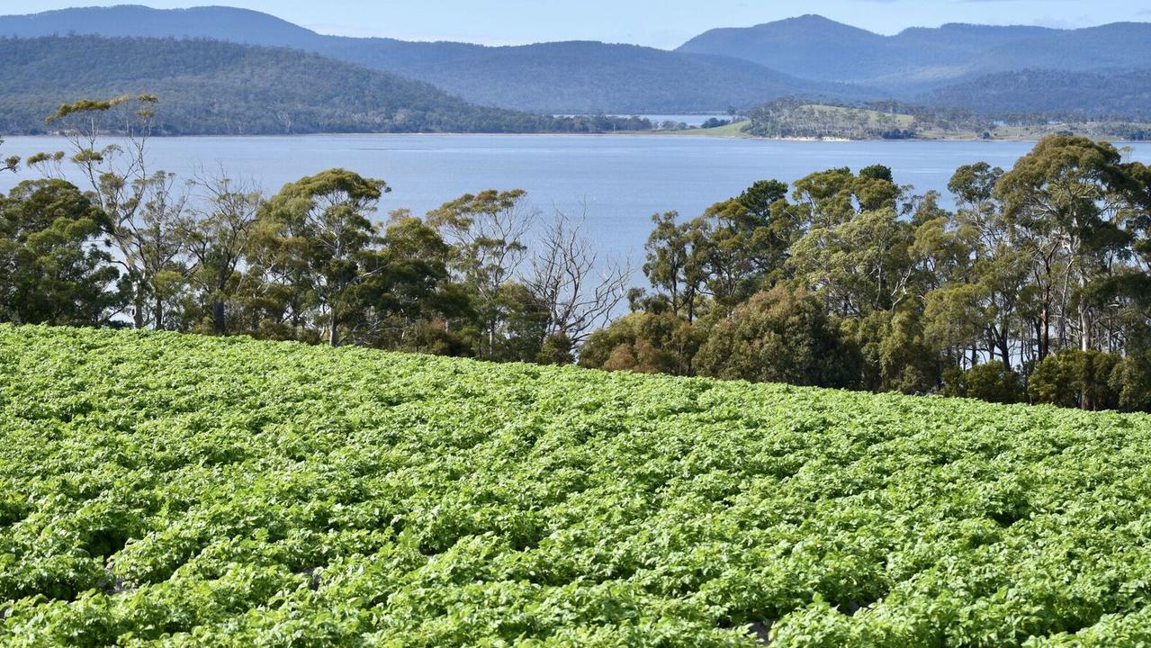 Susie and Gerard Daly's potato farm at Marion Bay. Picture: File