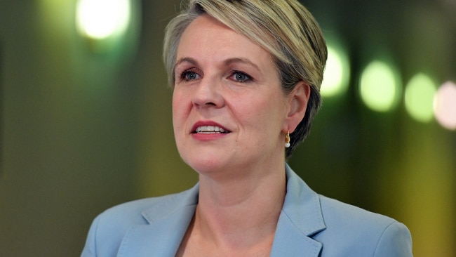Tanya Plibersek has slammed Prime Minister Scott Morrison for looking around “for someone else to blame” when things get tough. Photo: Sam Mooy/Getty Images