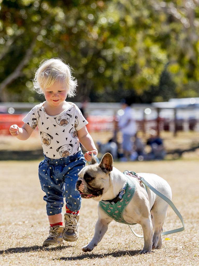 Aurelia Primus, 2, with Hugo at Paws at the Park held at Mudgeeraba showground on Sunday. Picture: Jerad Williams