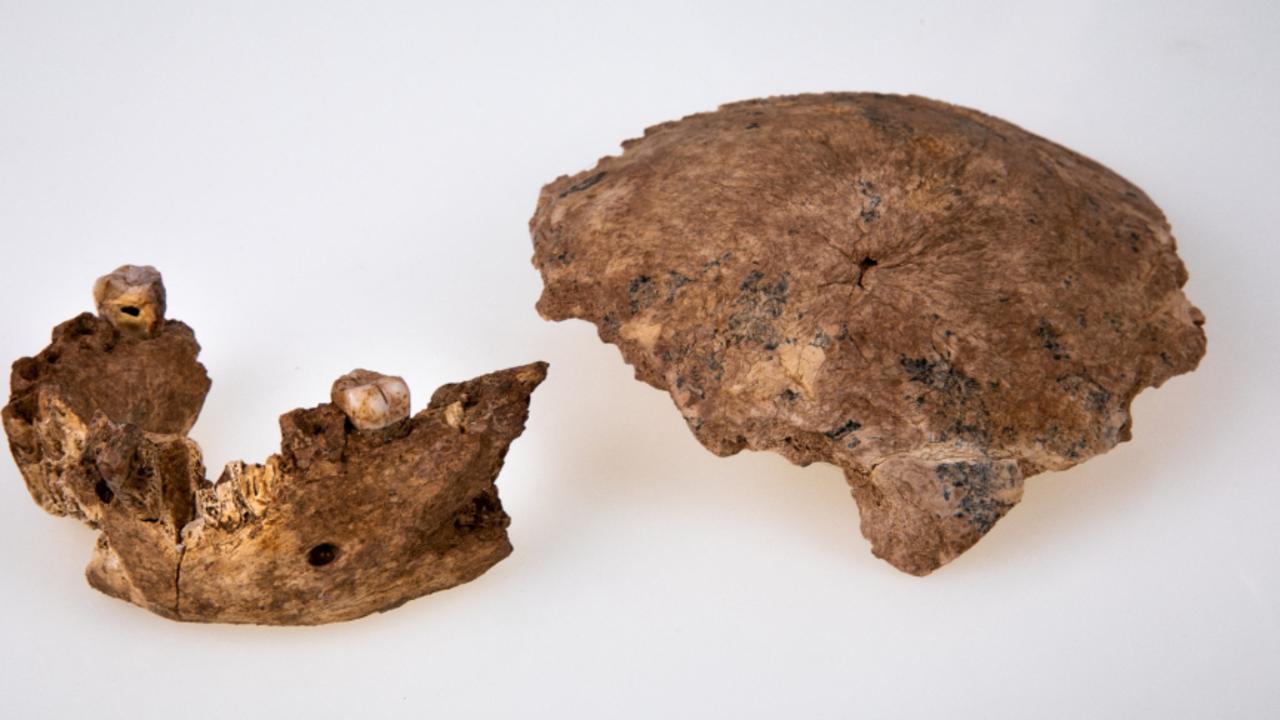 These remains could belong to a previously unknown ancient type of human. Picture: AFP