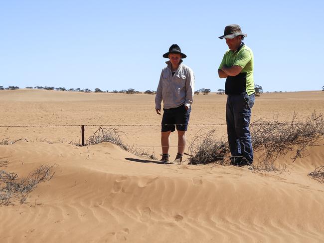 Allen Symes and his son Zac, a year ago, on their Millewa farm, in barren paddocks with fences almost covered with sandy dirt. Picture: Alex Coppel.